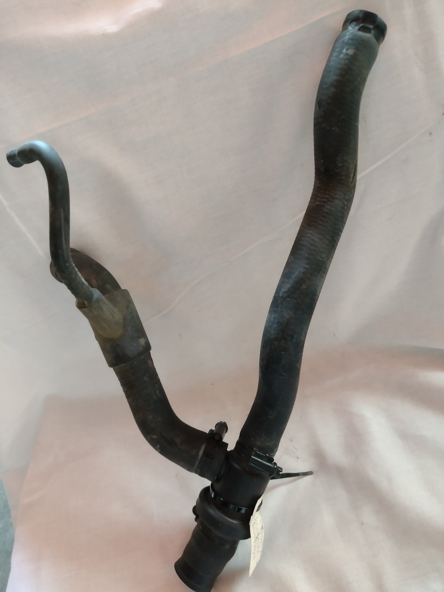 Thermo-switch 55340041A