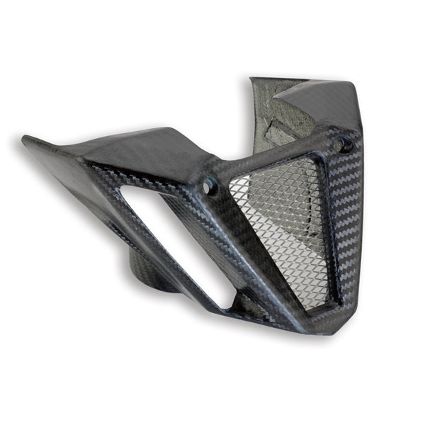 Belly faring kit, carbon 969A06609B