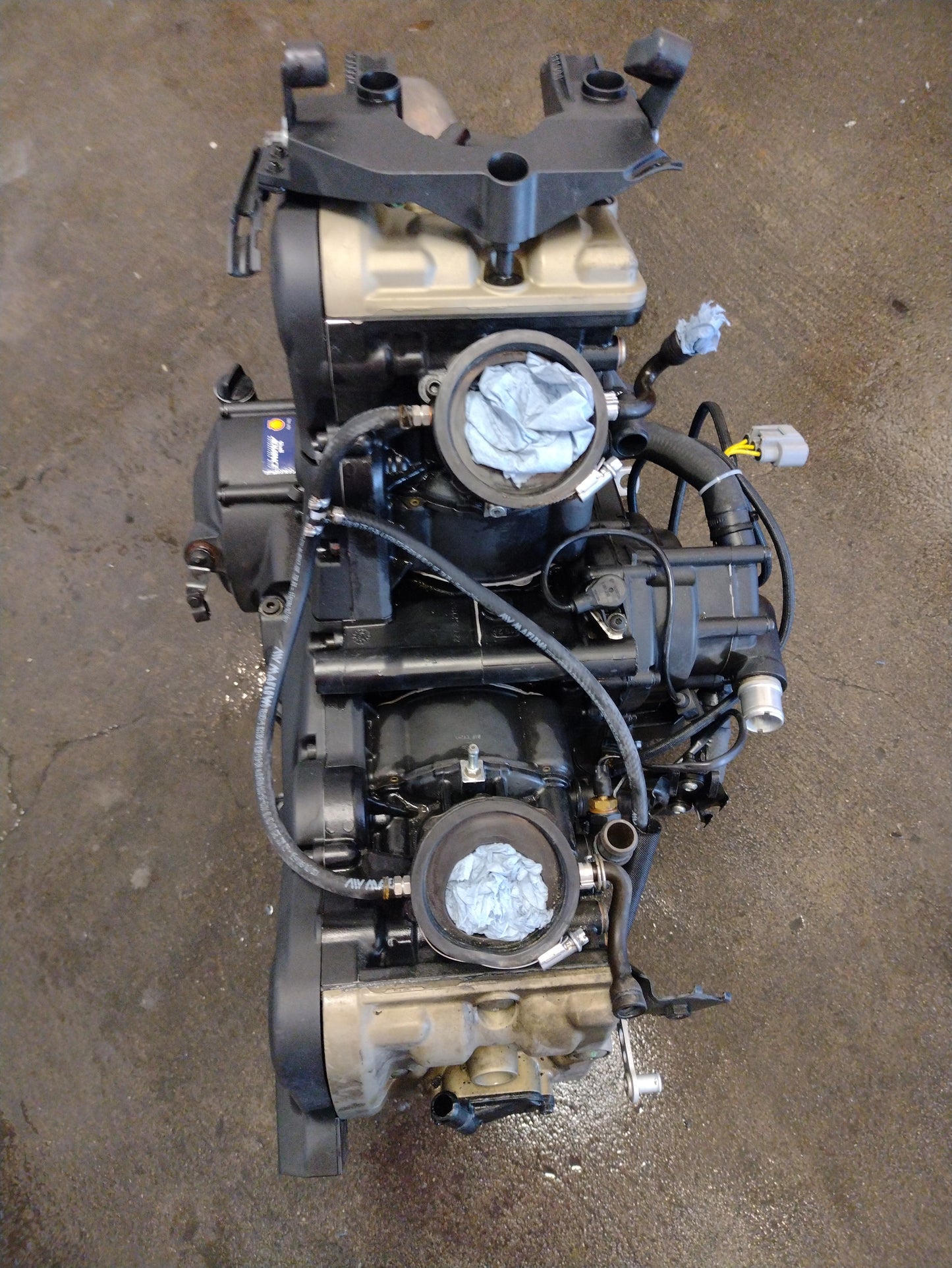 Ducati Multistrada 950 motor