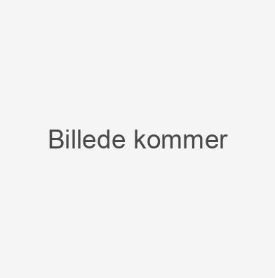 Manual til Cagiva W16 600
