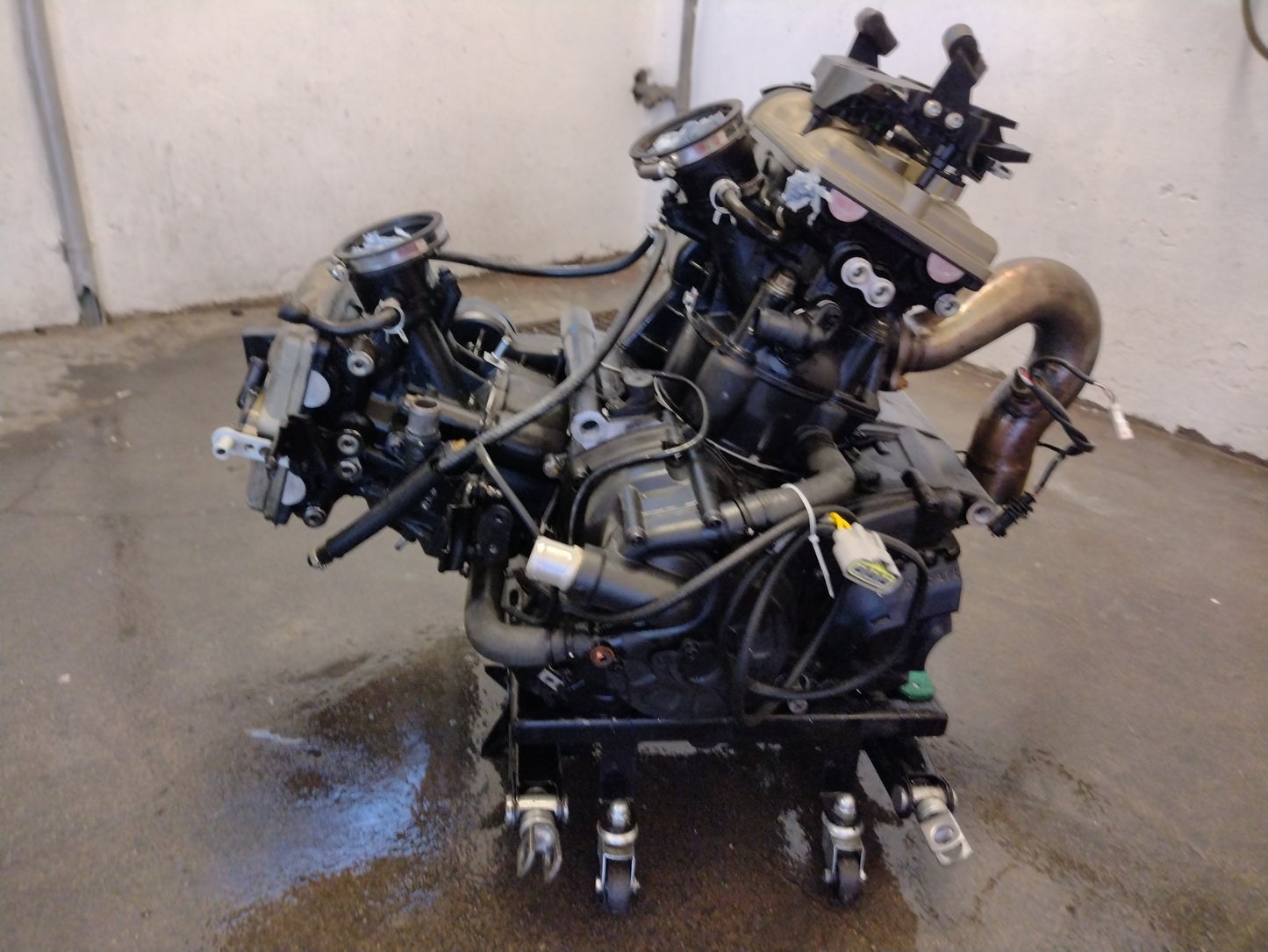 Ducati Multistrada 950 motor