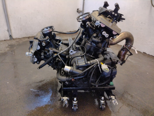 Ducati Multistrada 950 motor